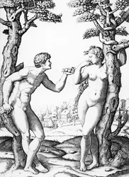 Adán y Eva, grabado por Marcantonio, c.1520